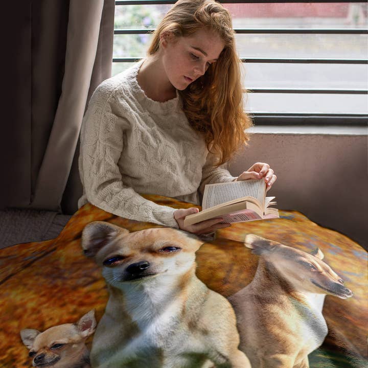 Artopia – wholesale Filtar – 50 ”x 60" Chihuahua plysch minky filt1