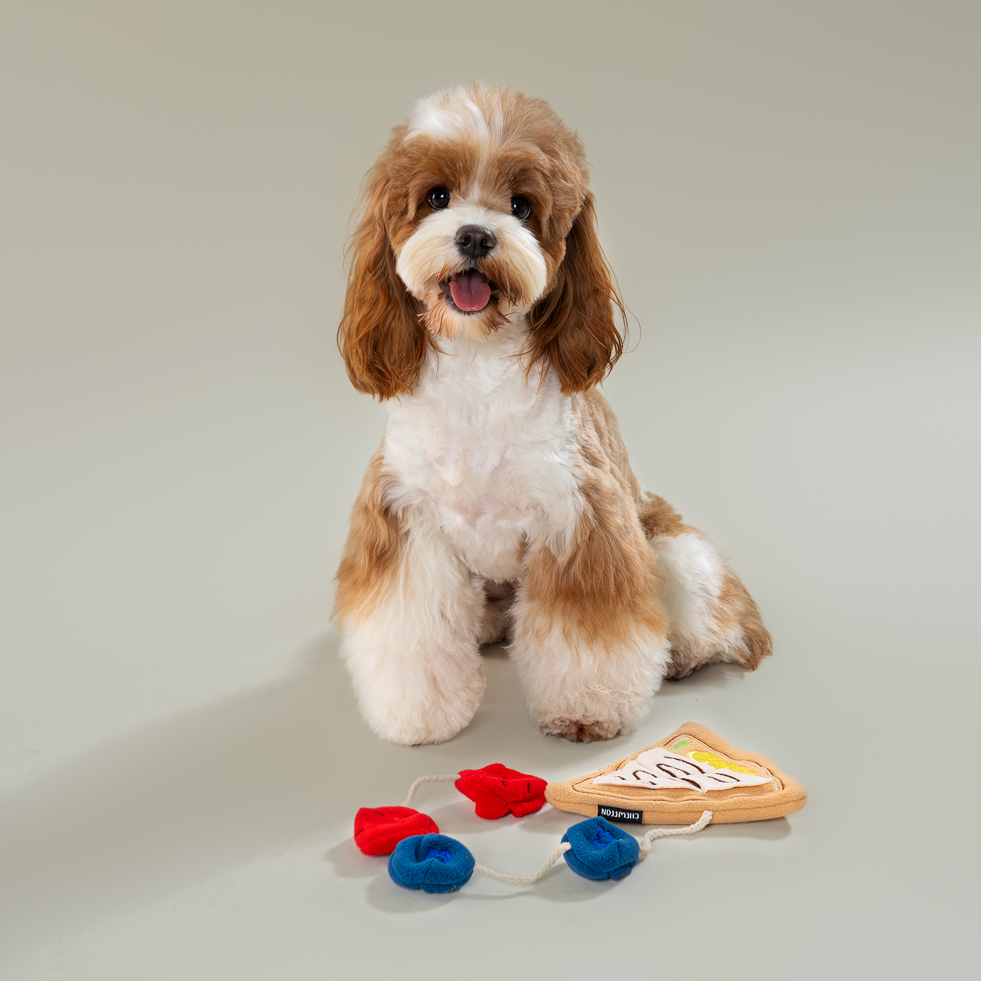 CHEWFFON – wholesale Pet toy – Dog – CHEWFFON Crepe Snuffle & Treat Puzzle Toy4