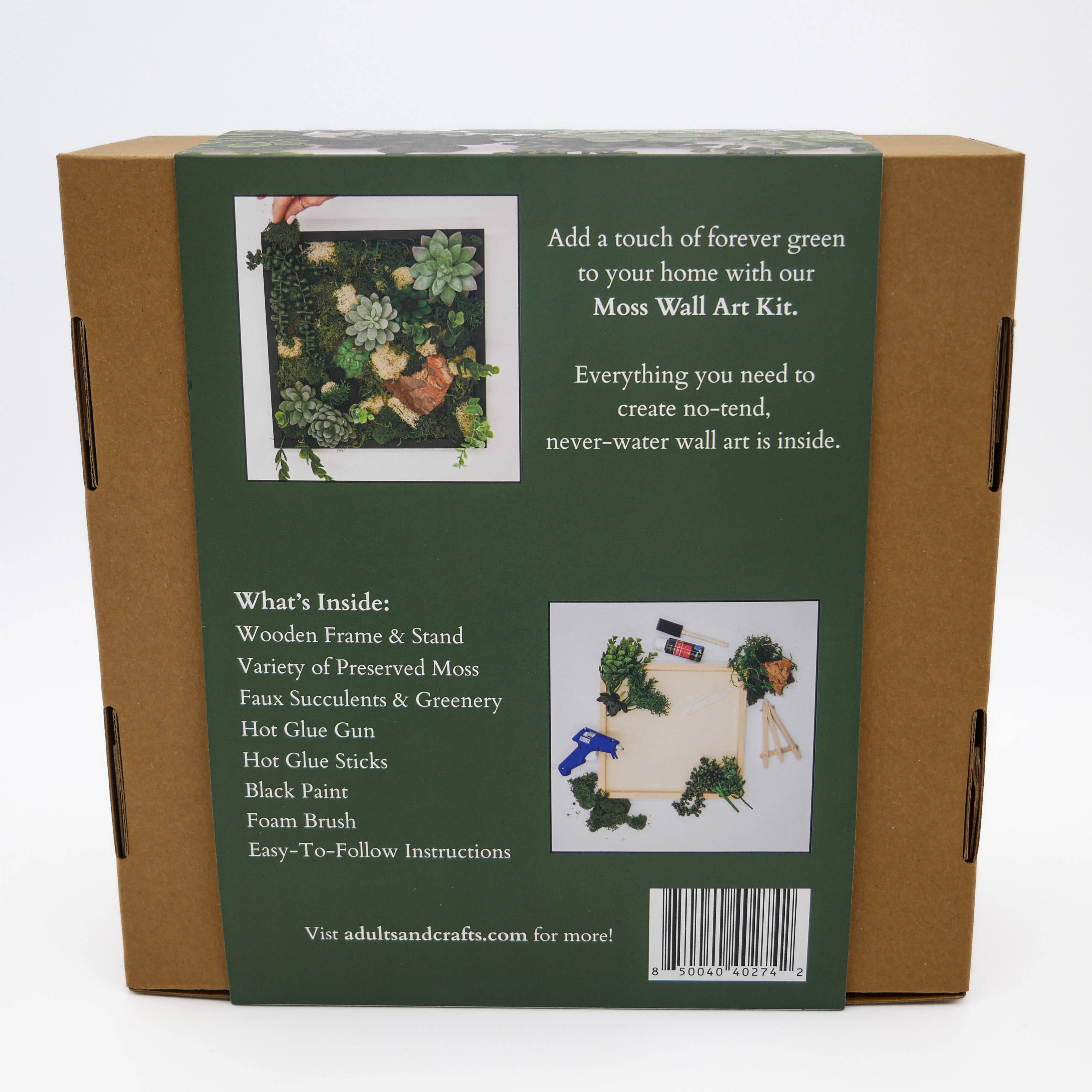 Adults & Crafts - Wholesale Doe-het-zelf-knutselset - Mosswand Doe-Het-Zelf Knutselpakket1