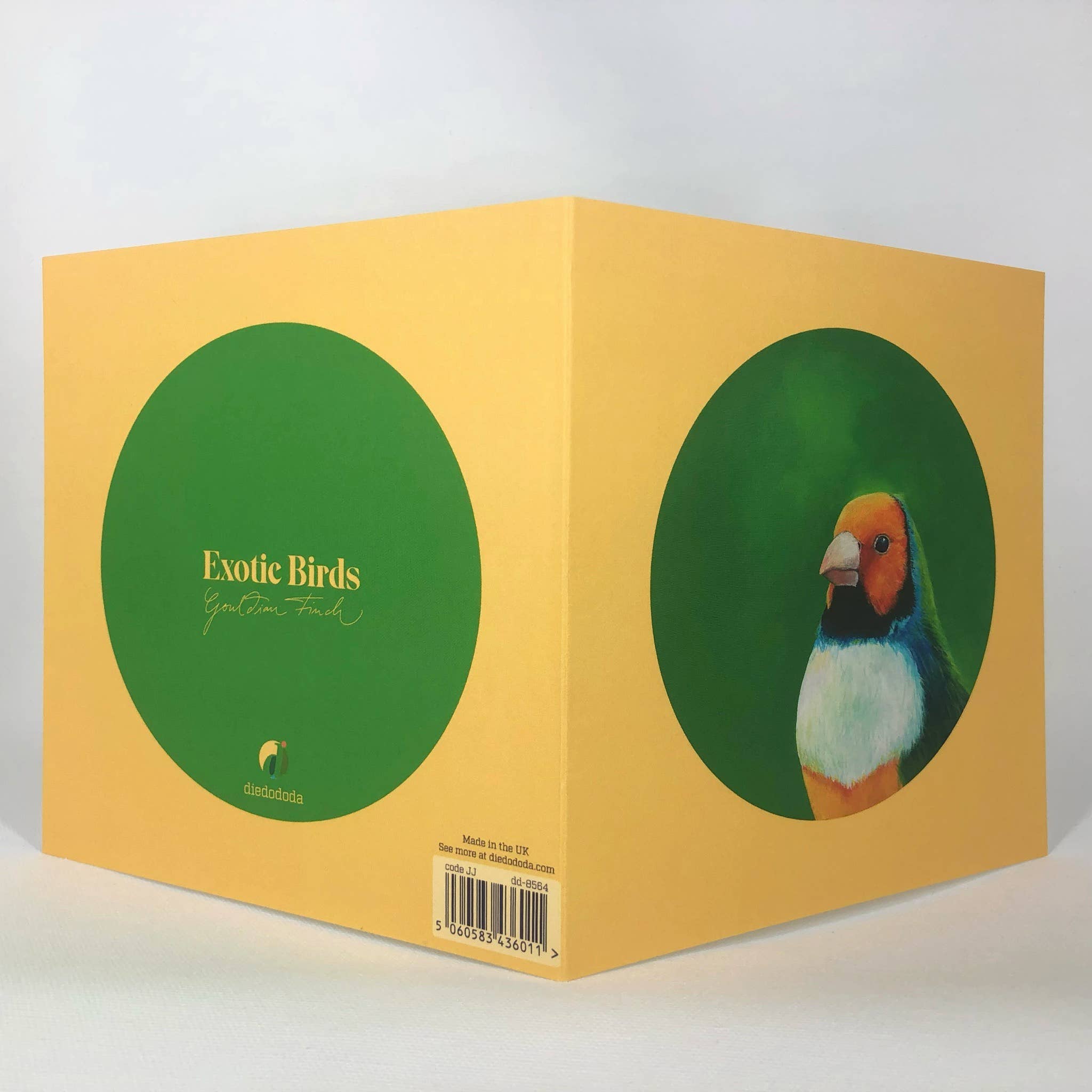 Diedododa – wholesale Everyday greeting card – Gouldian Finch Greeting Card1