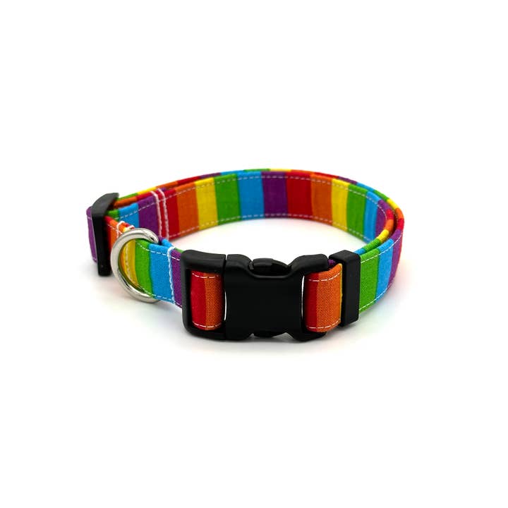 Rainbow Stripe Dog Collar for wholesale by Winthrop Clothing Co.