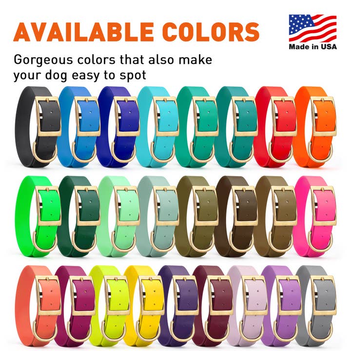Dogline - Wholesale Pet Collar - Dog - Viper Biothane Waterproof Collar - Brass Hardware - Size S (12 to 15 inches)6