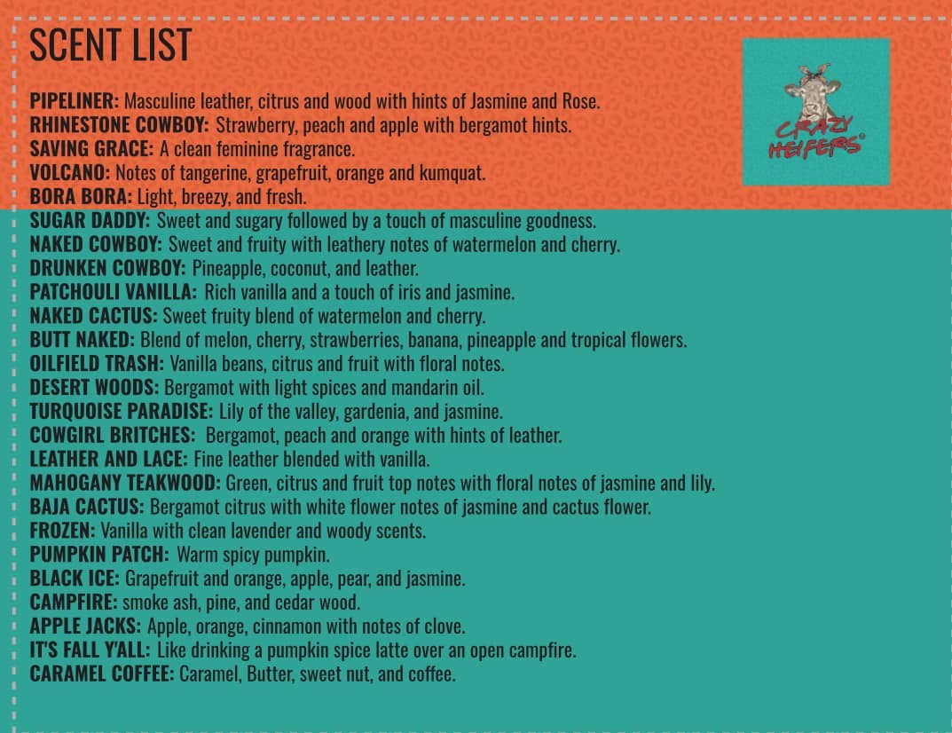 Crazy Heifers Wholesale - Wholesale Car Freshener - Women's - Car Diffuser Bar Starter Kit6