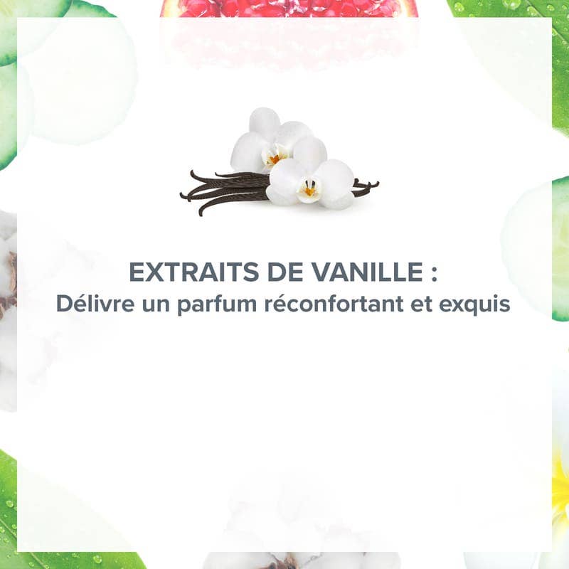 Evoluderm - Wholesale Deodorant - Unisex - Exquisite Vanilla Cocooning Deodorant2