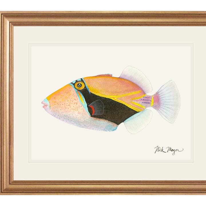 Humuhumunukunukuapua'a Limited Edition Print for wholesale by Nick Mayer Art