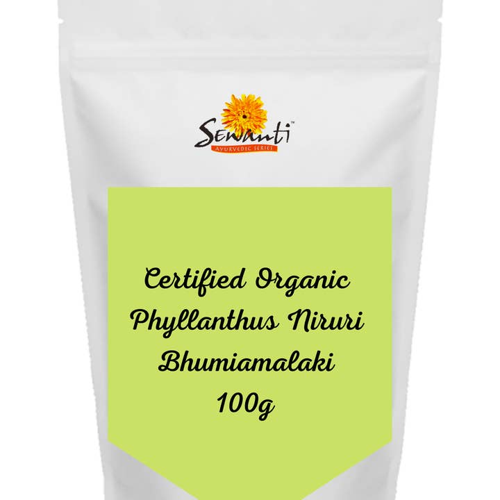 Organic Bhumiamalaki Powder - Phyllanthus Niruri for wholesale by Sewanti Ayurvedic Series