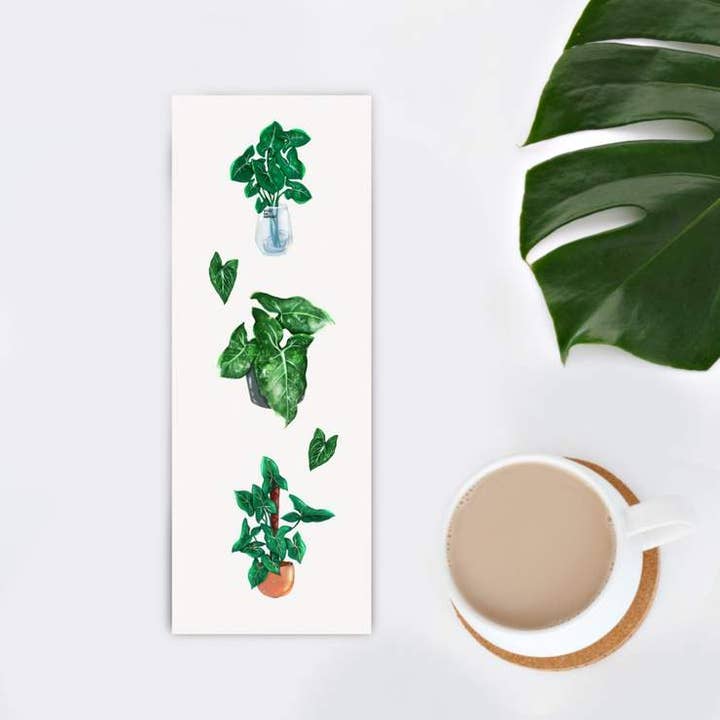 Signet de plante Syngonium - Plantlover, Plantlady, Jungl pour la vente par plantyintroverts