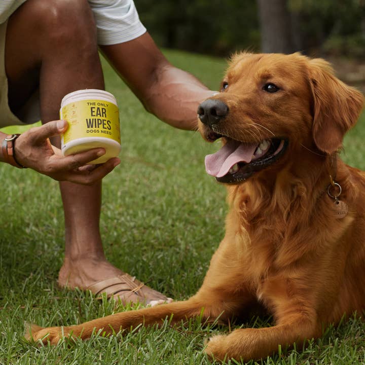 Natural Rapport - Wholesale Pet Grooming Aid - Dog - The Only Ear Wipes Dogs Need