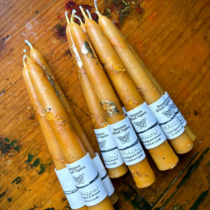 Handmade Beeswax 6" Cozy Autumn Taper Candle: Hallow for wholesale by Moth and Candle