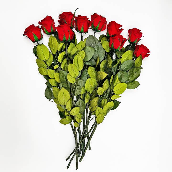 2626 Designs - Wholesale Dried/pressed flowers - 12, 16 Inch Long Premium Preserved Real Red / White Roses 7