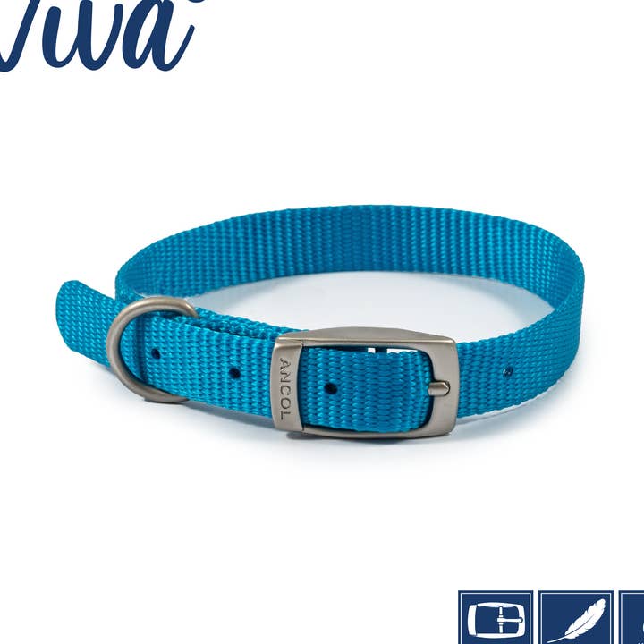 Viva Buckle Collar -BLUE for wholesale by Ancol Pet Products Ltd