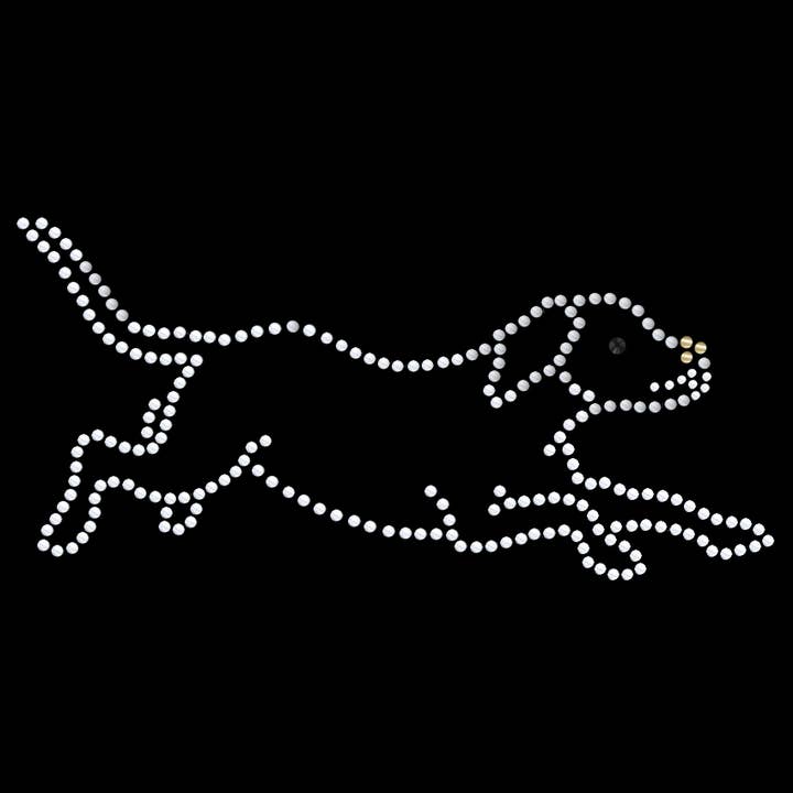 Labrador Retriever Outline - Maglietta da donna per la vendita all'ingrosso da parte di Dog in the Closet