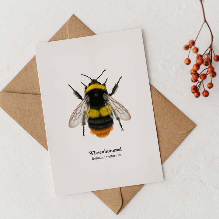Bumblebee postcard with meadow bumblebee drawing, nature greeting card for wholesale by Terillu