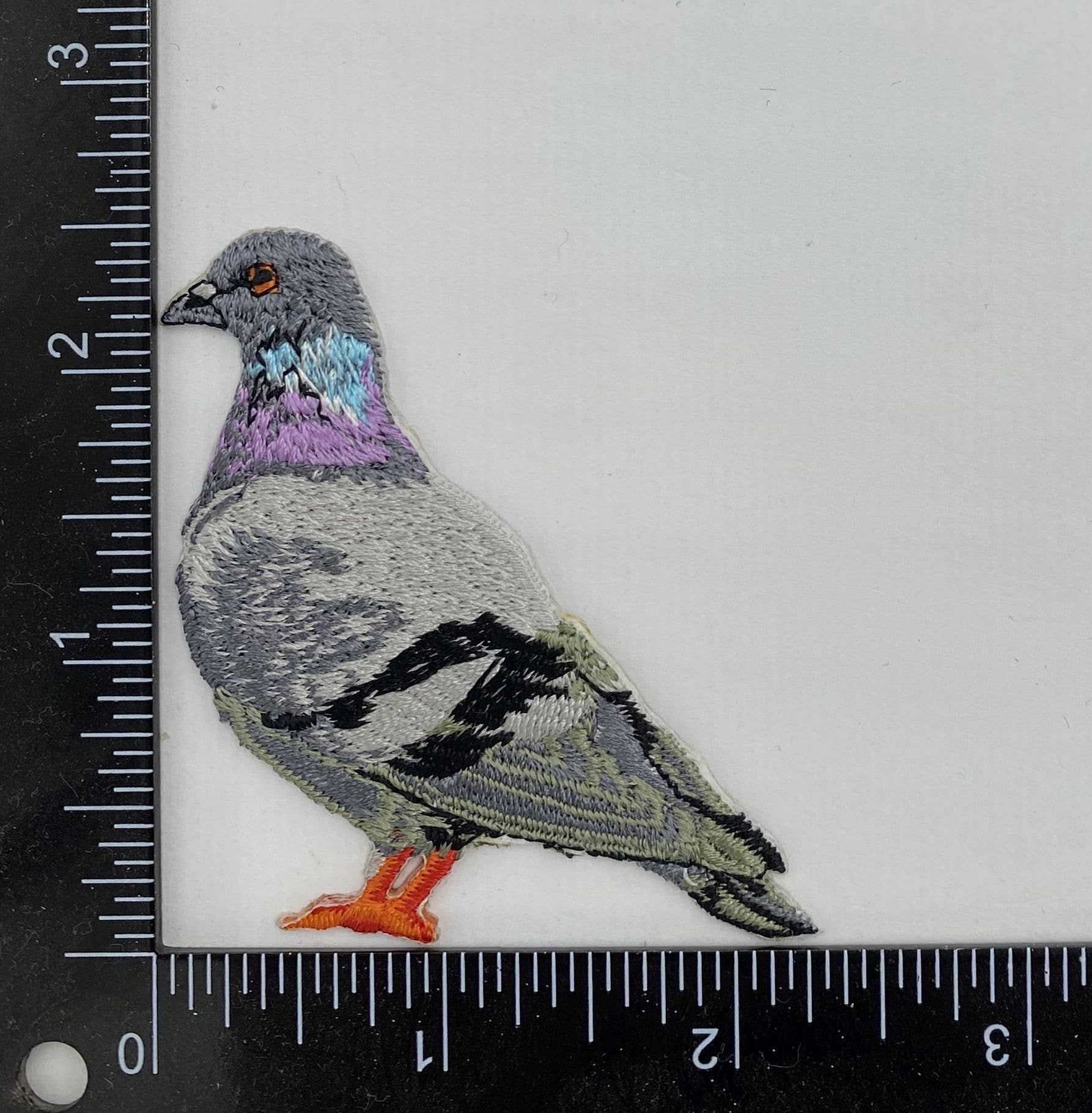 Wholesale Applique - Wholesale Patch - Rock Dove Pigeon, Birds, Iron on Patch1