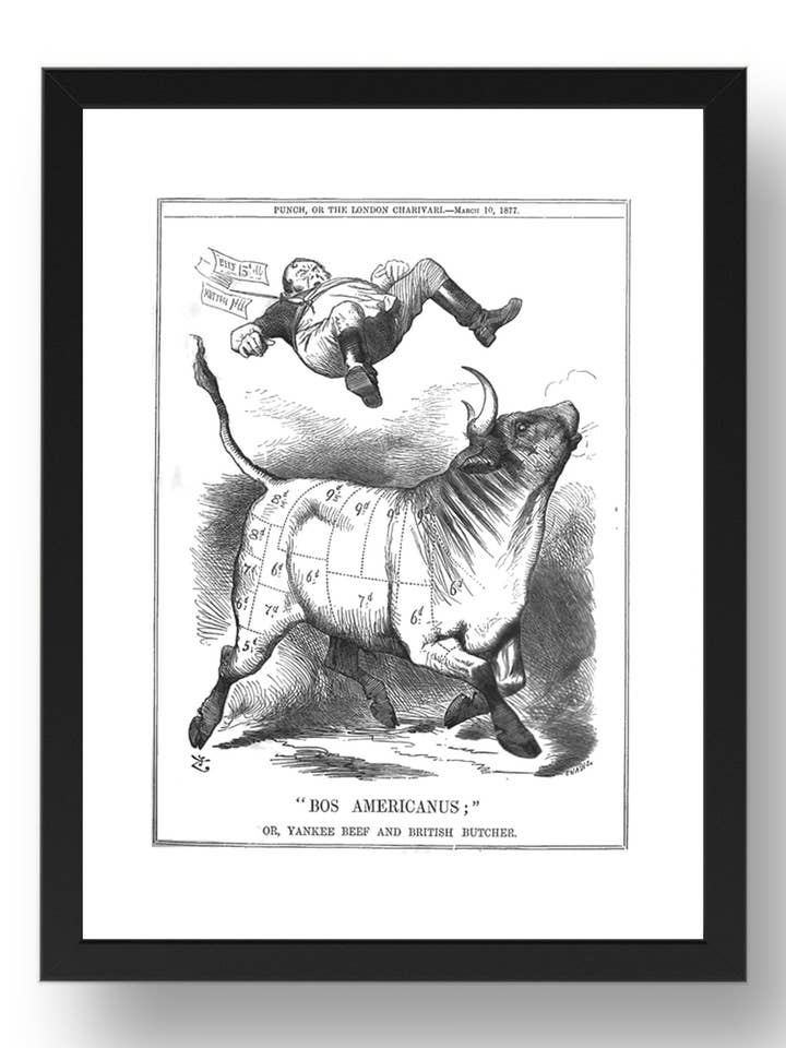 Bos Americanus Yankee Beef Importa Açougueiro Britânico Vitoriano 1877 A4, cartaz histórico vintage em Moldura 17x13" (A3) por atacado de PERIOD PRINTS