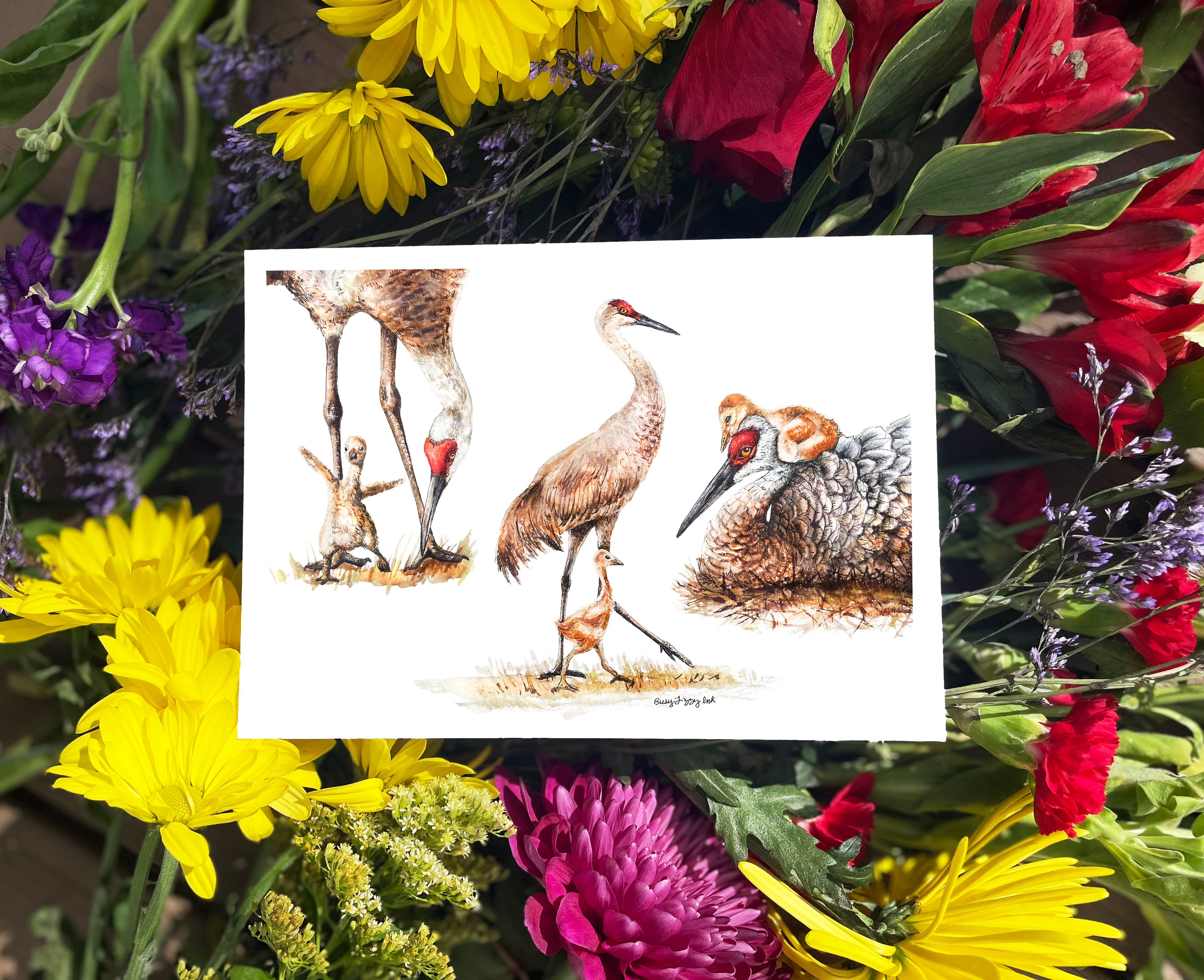 Busy Lizzy Ink - Wholesale Art Print - Sandhill Cranes0