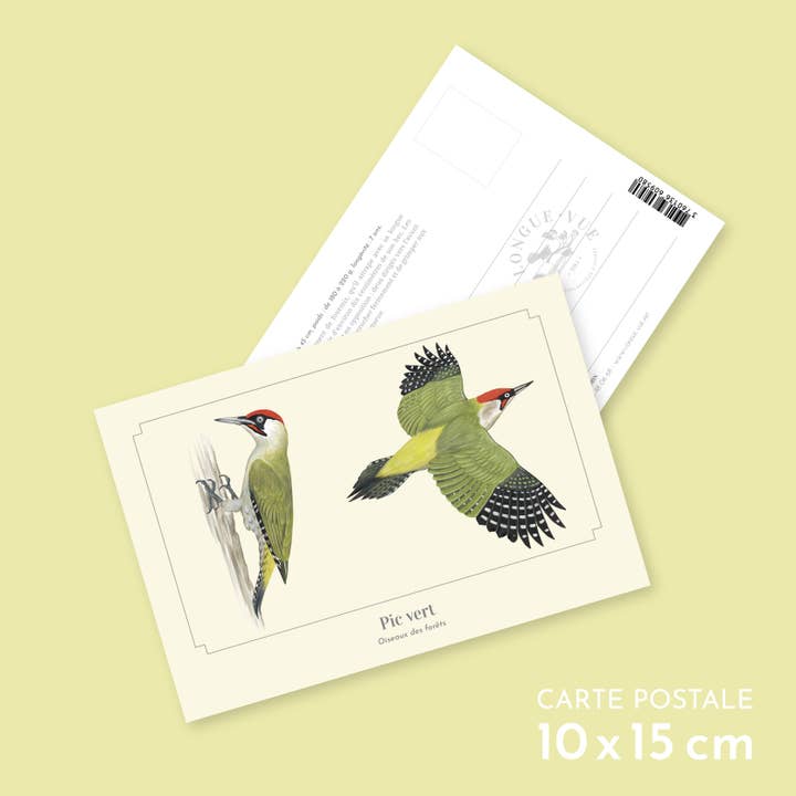 Green Woodpecker - Postcard for wholesale by Longue-vue