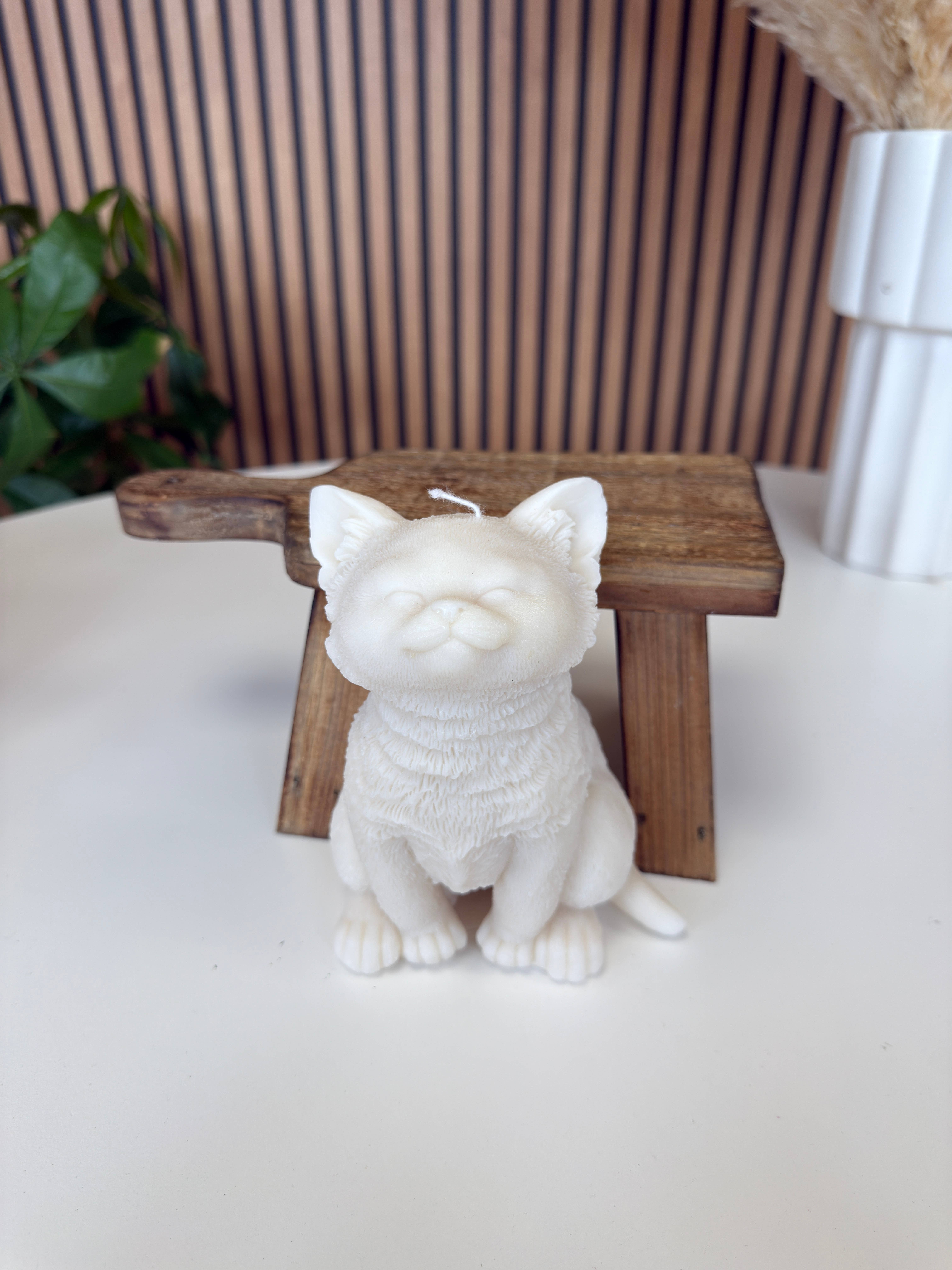 Ritual Spirit ltd – wholesale Novelty candle – Cat Candle  Collection 5