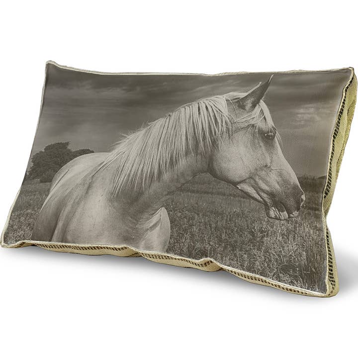 23" x 15" - Coussin décoratif - Horse In a Field 01 pour la vente par SPLASHWORKS