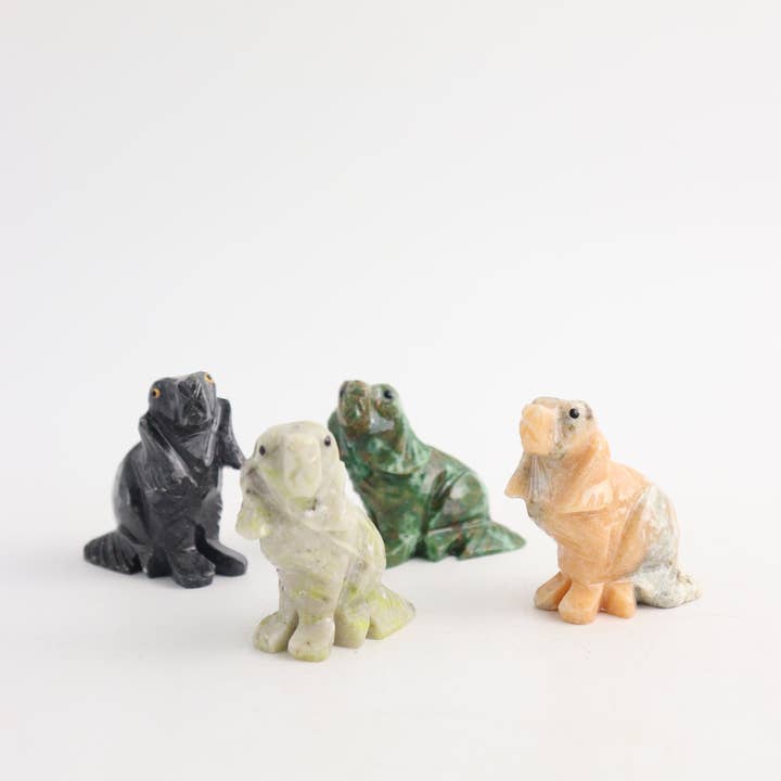 Un perro para venta al por mayor de Mi Esperanza Minerals