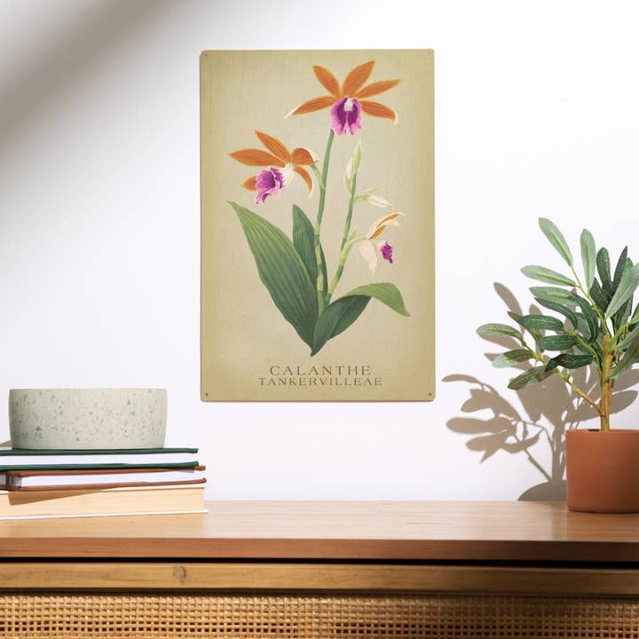 Lantern Press - Wholesale Wood wall art - WOOD SIGN ART Calanthe Tankervilleae Orchid Flora1