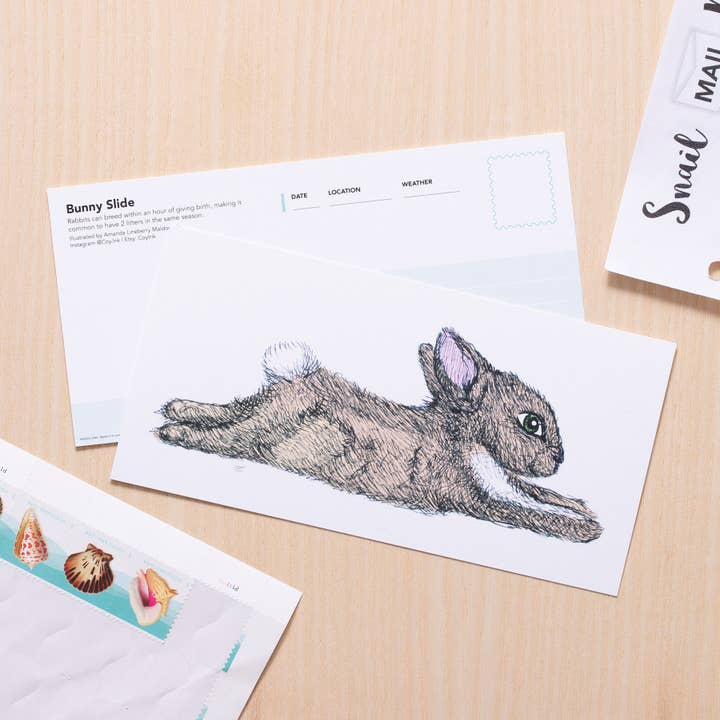 Baby Bunny Art for wholesale by Coy Ink Studio