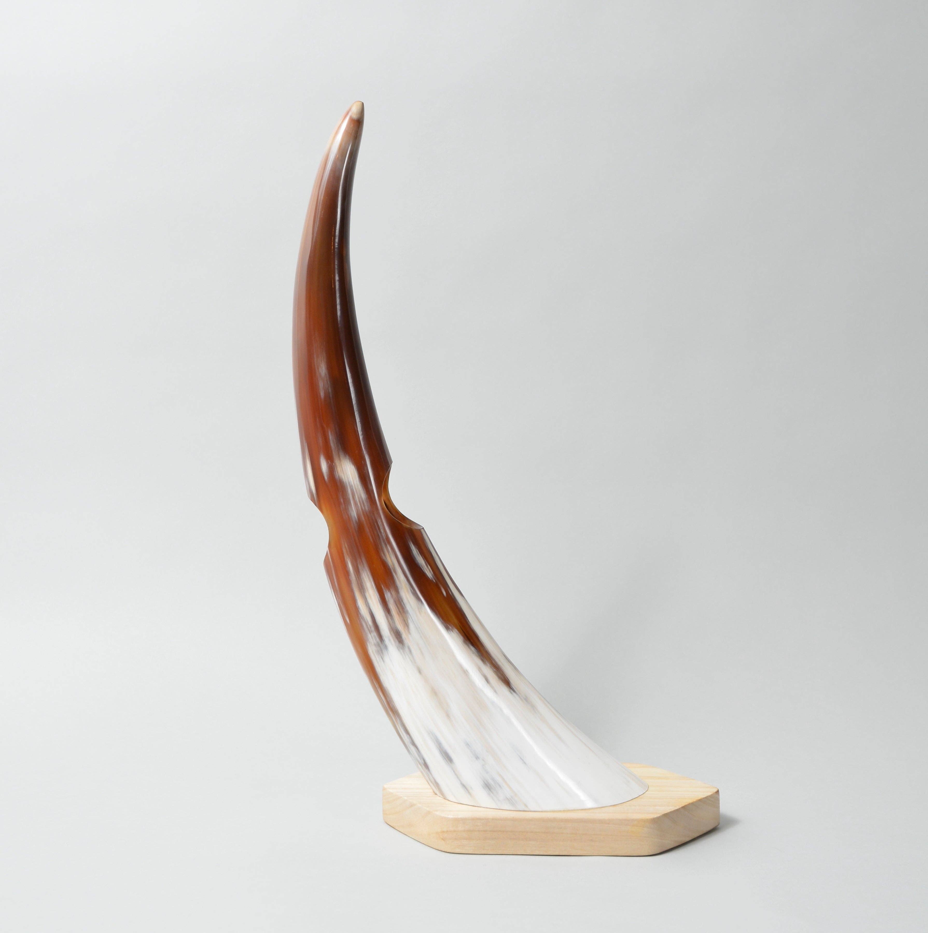 MAADILI COLLECTIVE - Wholesale Bottle Rack/Holder - Balanced Horn Wine Holder3