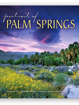 Portrait of Palm Springs for wholesale by Farcountry Press