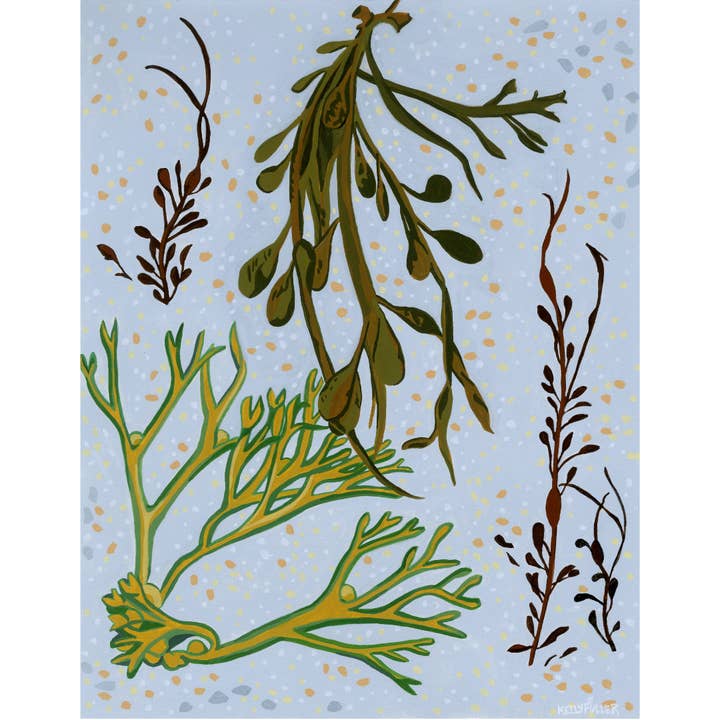 Seaweed Arrangement Archival Print for wholesale by Kelly Fuller