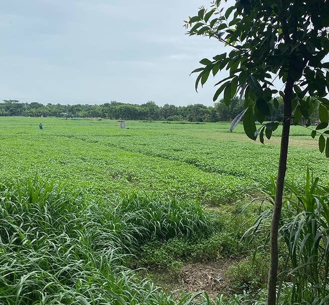 BRITISH COLOUR STANDARD – wholesale Placemat – Jute Placemats 27cm in Pearl W/Natural, Tied Set of 4 3