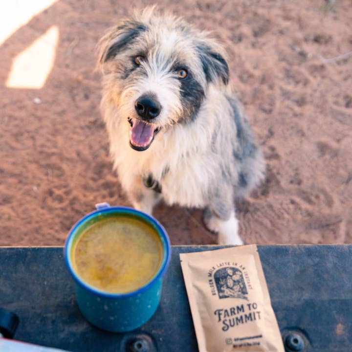 Farm to Summit - Vendita all'ingrosso Caffè/espresso istantaneo - Latte Latte Dorato3