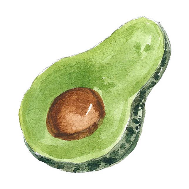 Avocat pour la vente par Margaret Joy