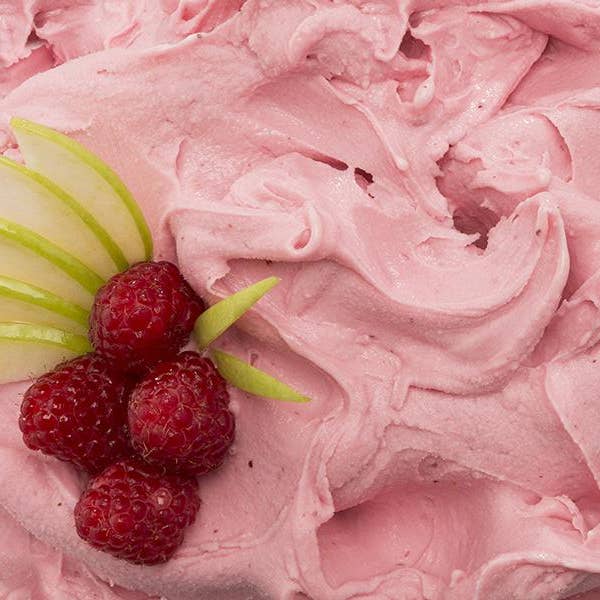 Dolcincasa.com - Wholesale Pasta - Natural Raspberry Gelato Paste - 200g2