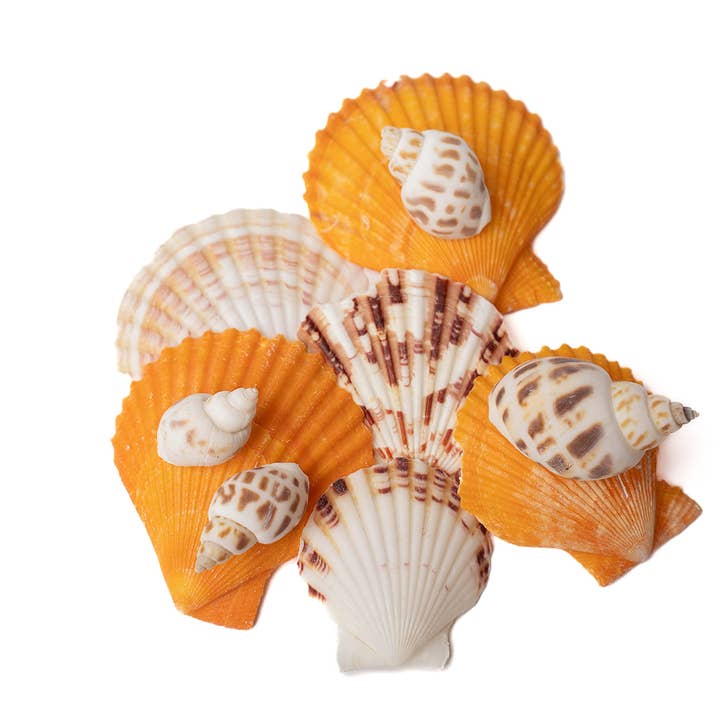 Meemzy Magic - Wholesale Art Set - Kids & Baby - Best Sellers Bulk Set6