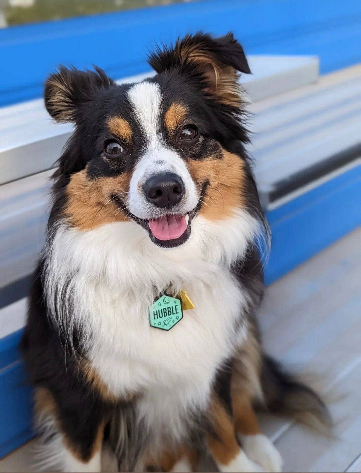 Besties Pets - Wholesale Pet Identification Tag - Dog - Space Cadet Silicone Dog ID Tag13