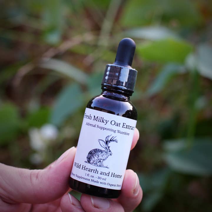Wild Hearth and Home - Wholesale Tincture - Fresh Milky Oat Extract