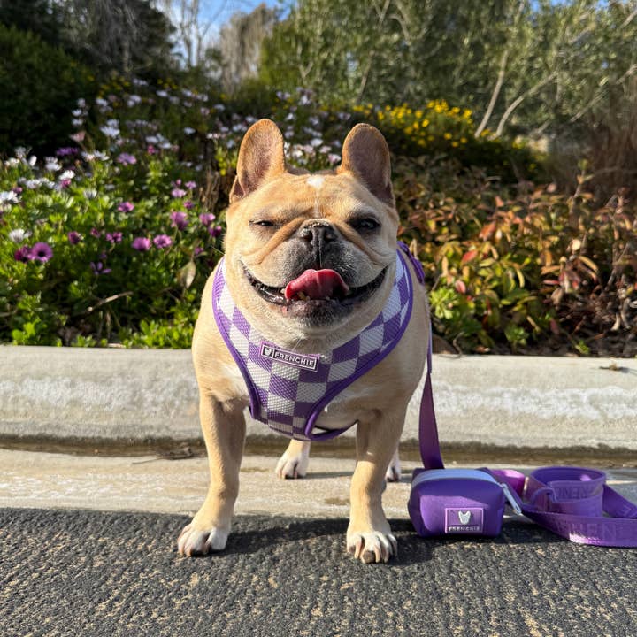 Frenchie - Wholesale Pet Poop Bag Dispenser - Frenchie Poo Bag Holder - LA Purple2