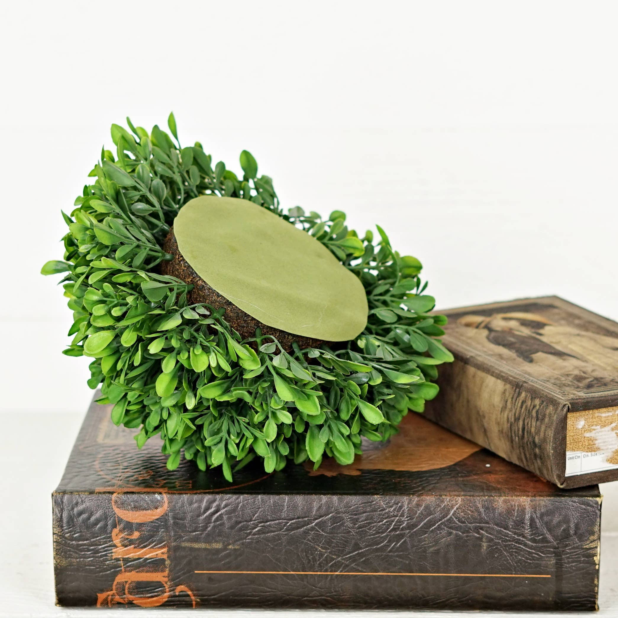 Two Ten Original LLC - Wholesale Artificial Plant - Evergreen Boxwood Half Sphere-10inDx5.5H5