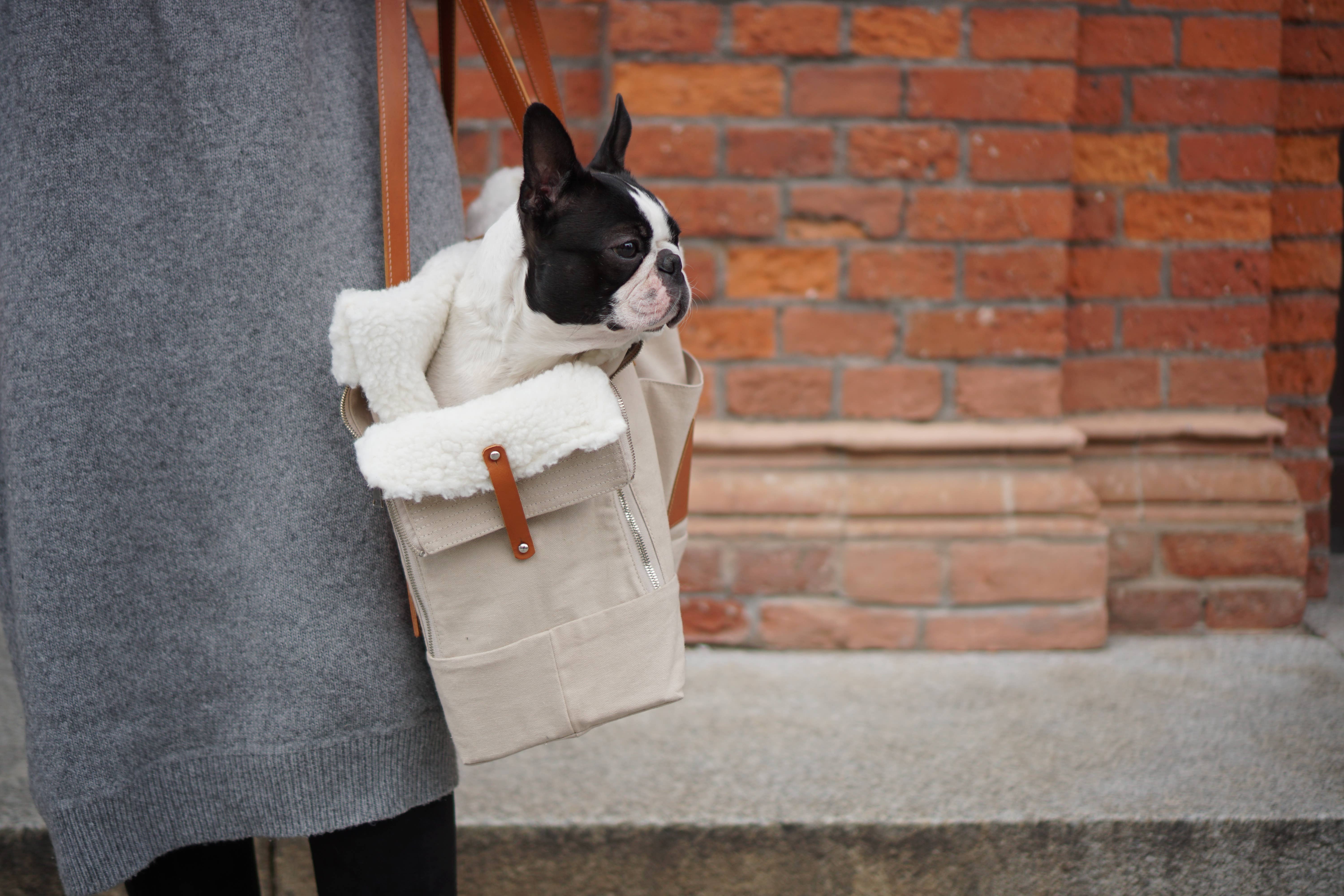 Labbvenn - Wholesale Pet Carrier - Cat/Dog - Liiva Dog Carrier5