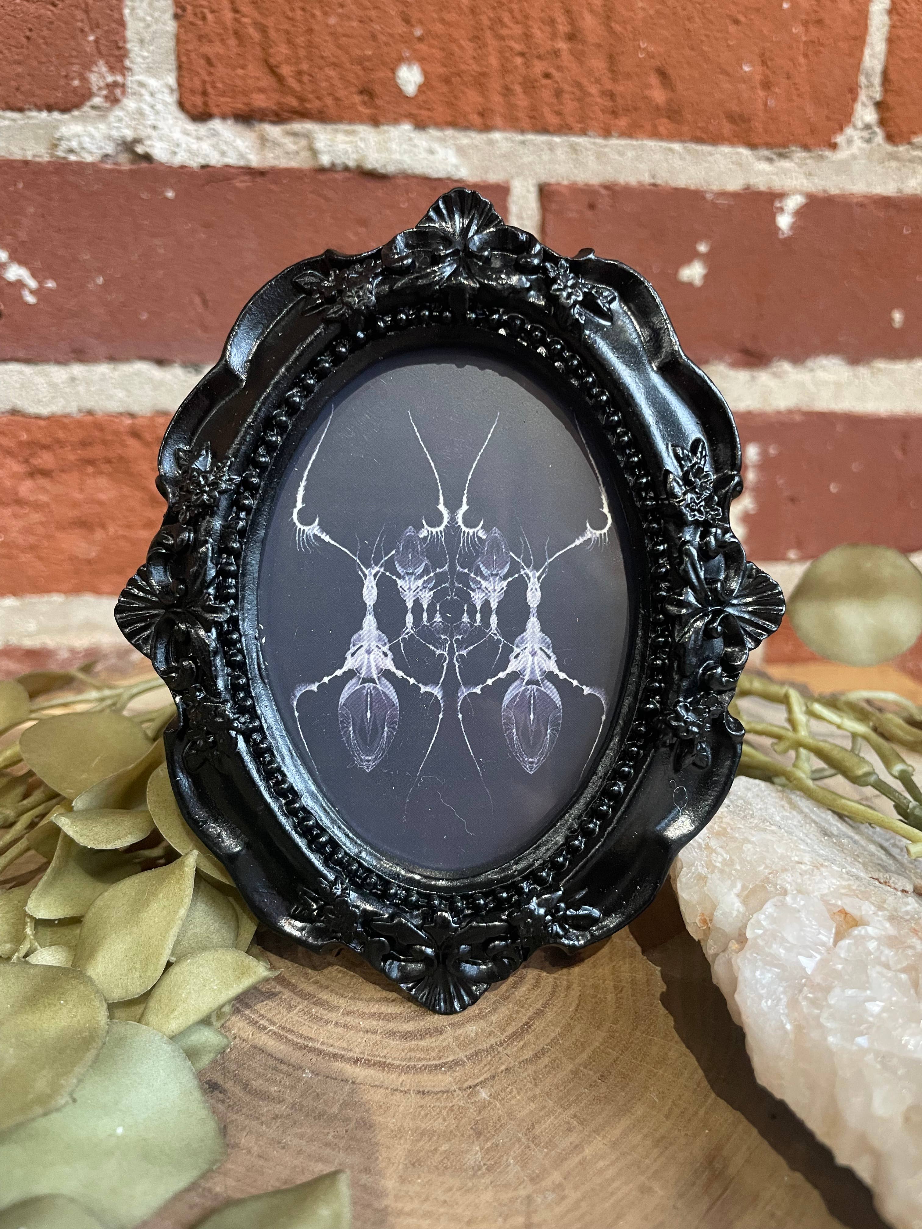 Signum Somnia - Vente Affiche d'art - Mini œuvres encadrées style gothique, art insolite, décor effrayant11