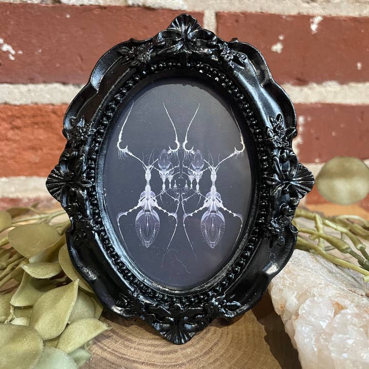 Signum Somnia - Vente Affiche d'art - Mini œuvres encadrées style gothique, art insolite, décor effrayant11