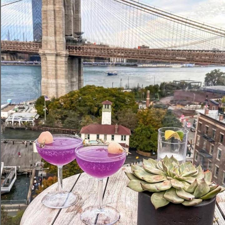 DRINIQUE - Wholesale Cocktail/Liquor Glass - DRINIQUE Unbreakable Coupe Glass 8oz Tritan Plastic10