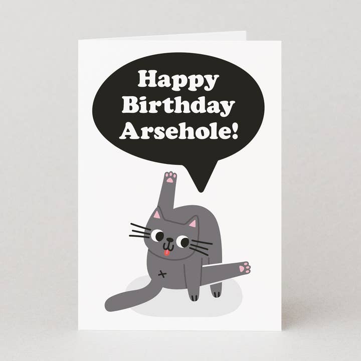 Arsehole Cat Birthday Card | Funny Birthday Cards for Adults for wholesale by Studio Boketto