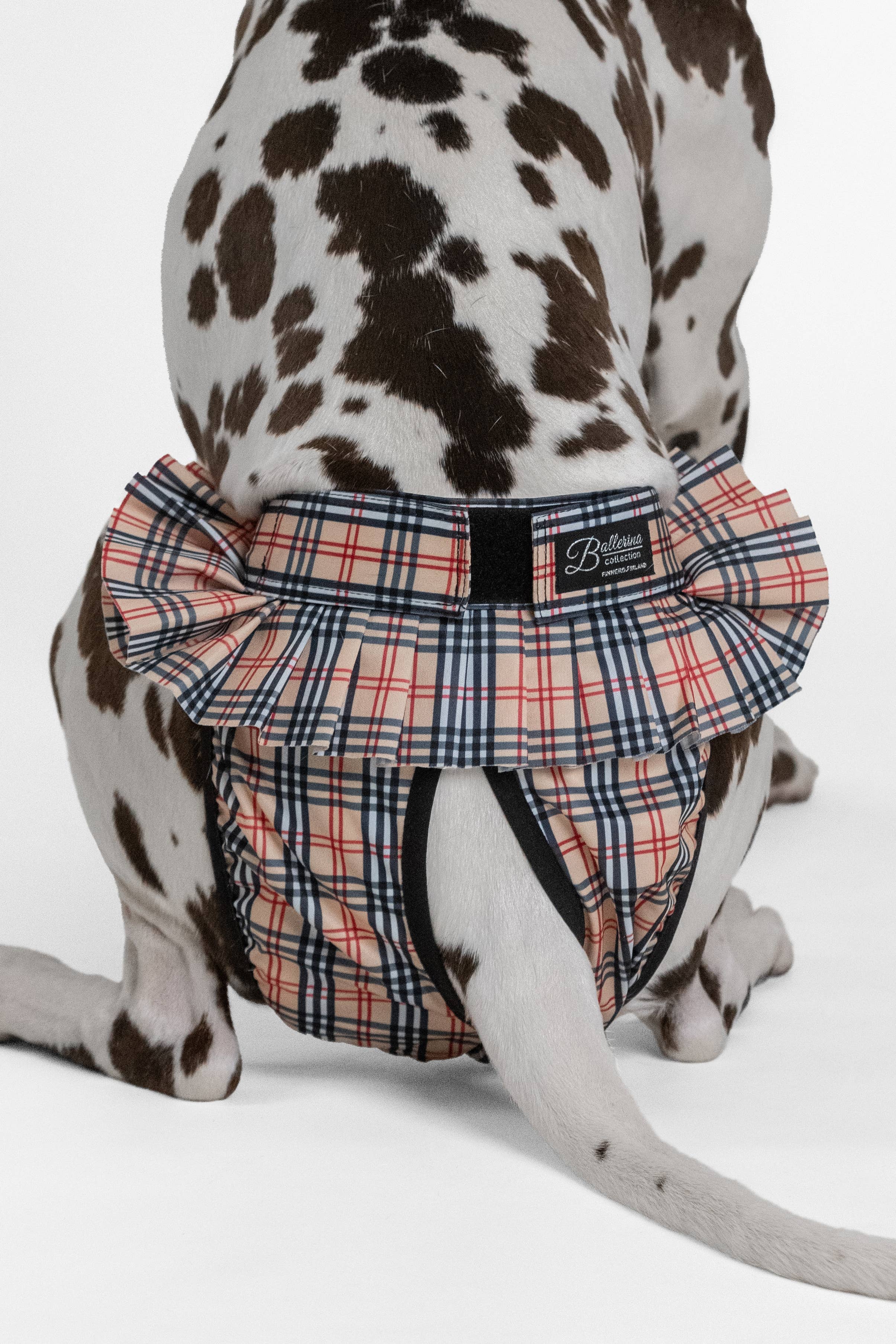 FINNERO – wholesale Husdjursblöja - Hund – FINNERO Ballerina hundhygienbyxor, 5 färger, tvättbara27