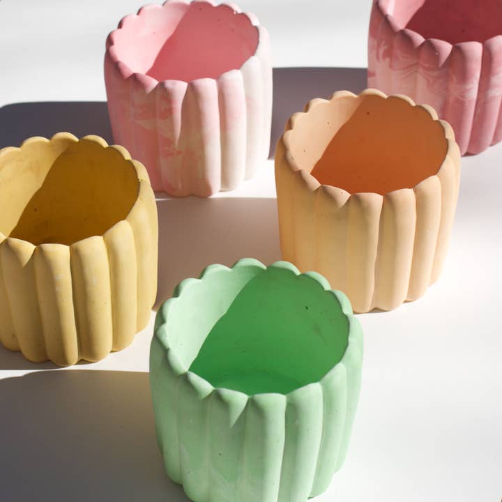 The Plant Committee - Wholesale Plant Pot - Scallop Planter5