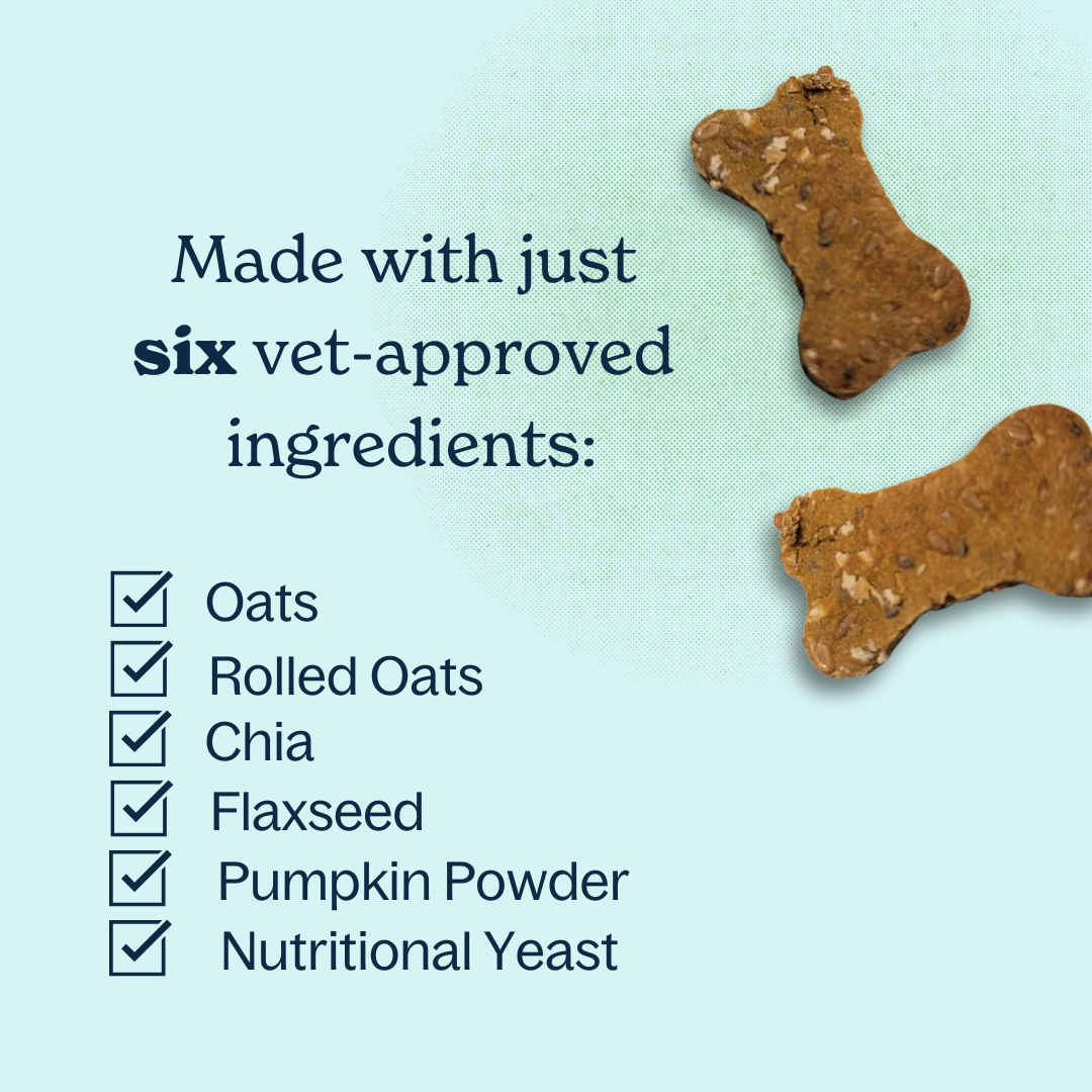 Scratch Treats - Wholesale Pet Treats - Dog - Bake-At-Home Dog Treat Kit - Vegan Cheeze - Makes 80 Treats2