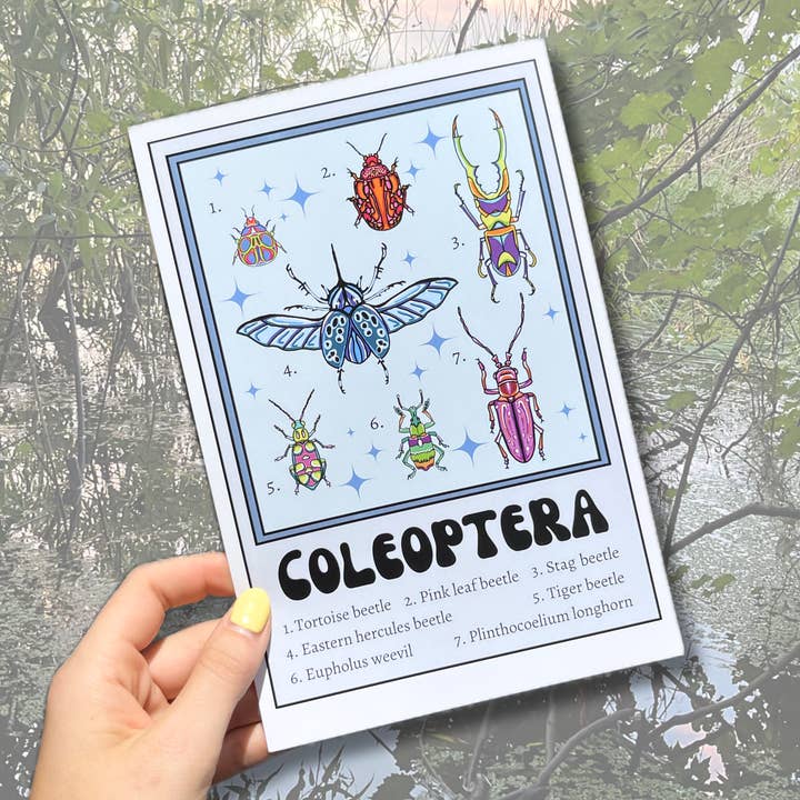 LadyBeatificsBugs - Wholesale Art print - Beetle Retro Insect Art Print