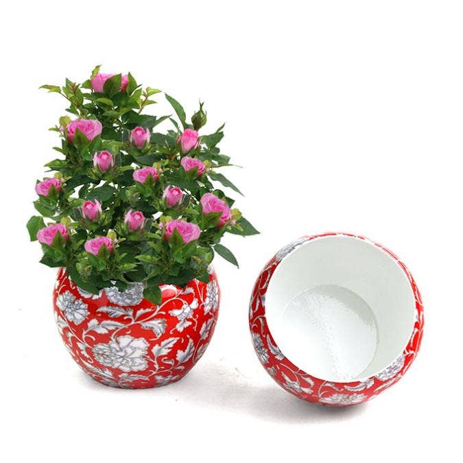 Buhi Imports - Wholesale Plant Pot - Metal Red Print waterproof 5 inch x 4 inch1