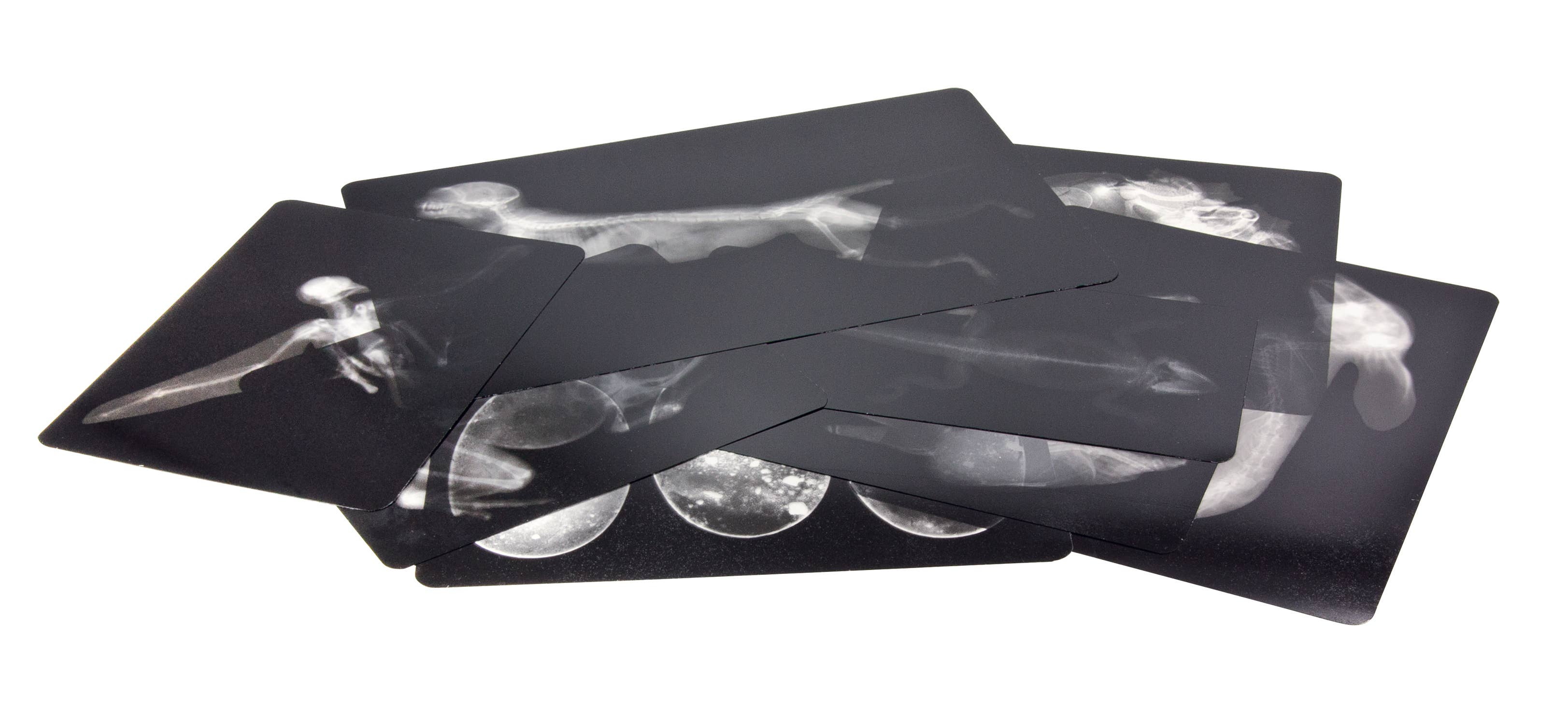 Roylco - Wholesale DIY Craft Kit - Kids - Educational Light Cube Sensory Kit DIY Educational Craft Kit2