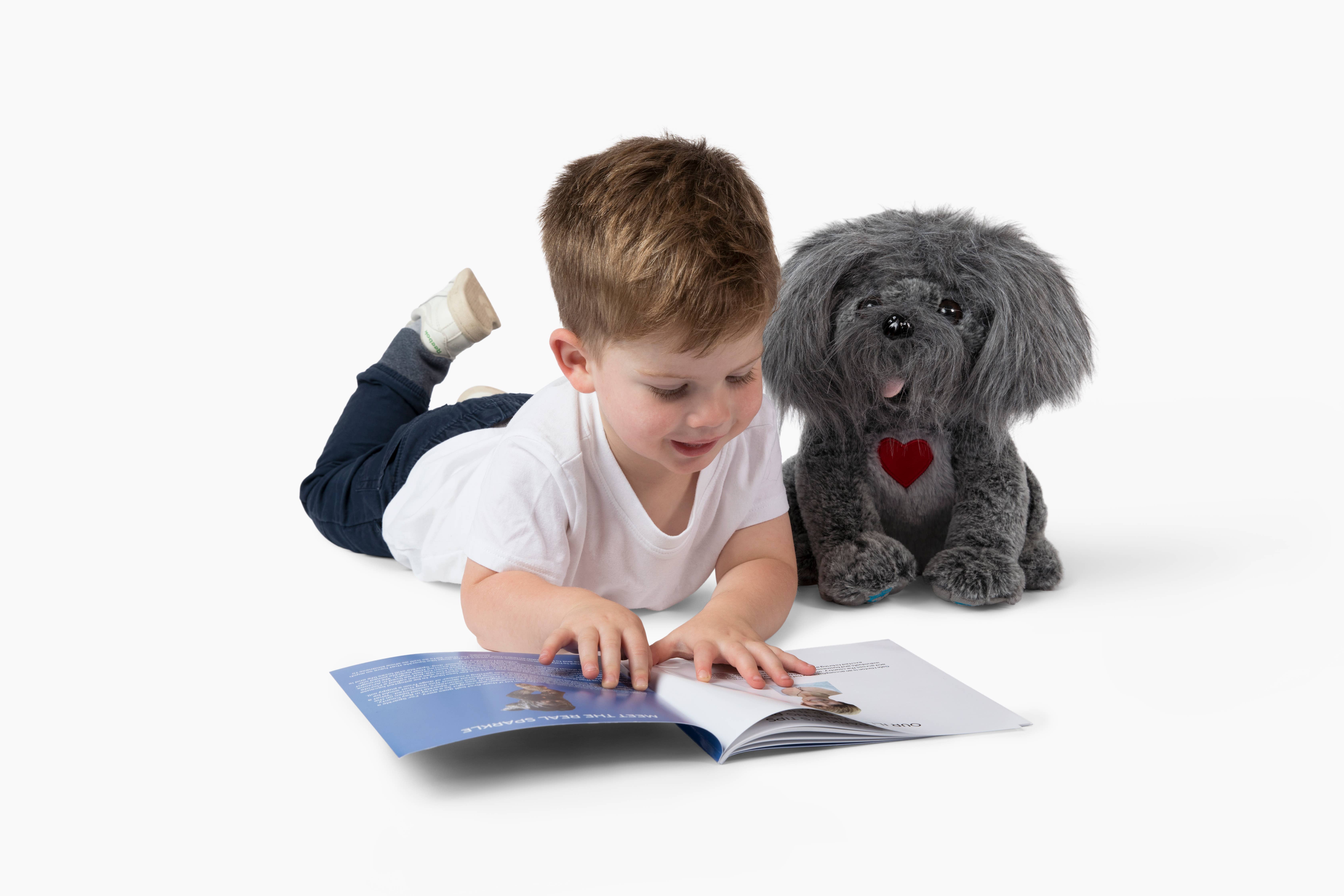 Bene World Toys - Wholesale Stuffed/Plush Toy - Kids & Baby - Stuffed dog with storybook pet care gifts for kids2